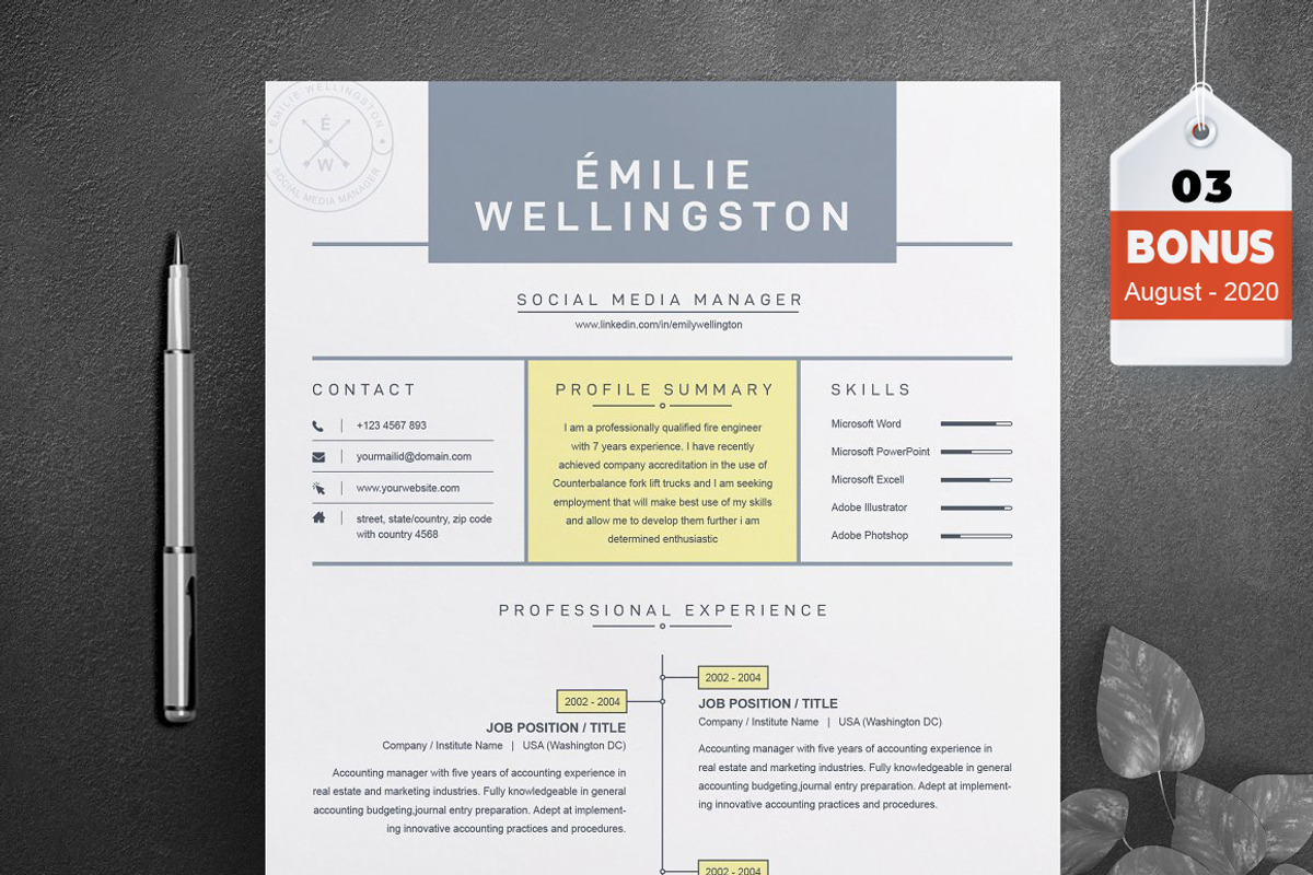 Resume/CV Bundle | 200+ for $29, a Resume Template by ResumeInventor (Photo 129 of 207)