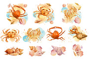 Watercolor starfish, shells, crabs, an Animal Illustration by Hanna Hryharenka (Thumbnail 3 of 12)