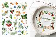 Woodland. Cute forest collection., an Animal Illustration by Kate_Rina (Thumbnail 11 of 15)