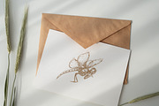 ENTOMOLOGY. Insects Vintage Pack., a Decorative Illustration by Chewie Co (Thumbnail 9 of 11)