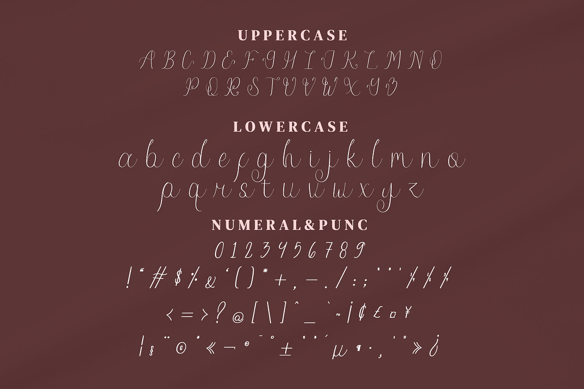 Eqoaby Script Fonts, a Script Font by mahstudios (Photo 7 of 10)