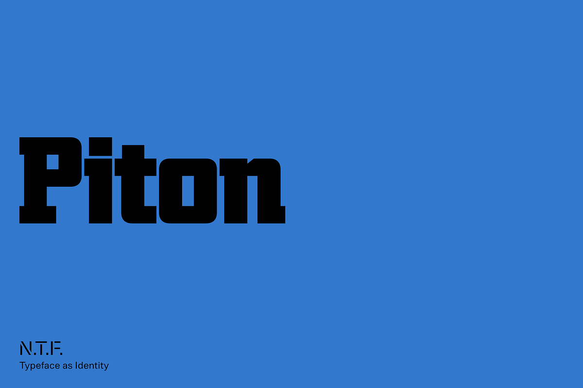 Piton, a Slab Serif Font by Nameless Type Foundry (Photo 1 of 10)
