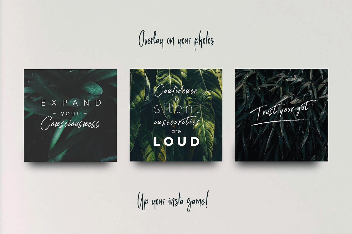 1350+ Quotes: Ultimate Quote Pack, a Social Media Template by Delightful Design (Photo 6 of 13)