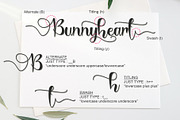 Bunnyheart, a Script Font by Letterafa Studio (Thumbnail 7 of 10)
