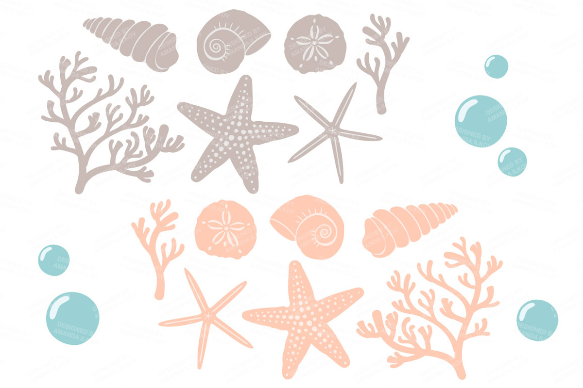 Mint & Peach Vector Seashells, an Illustration by Amanda Ilkov (Photo 5 of 5)