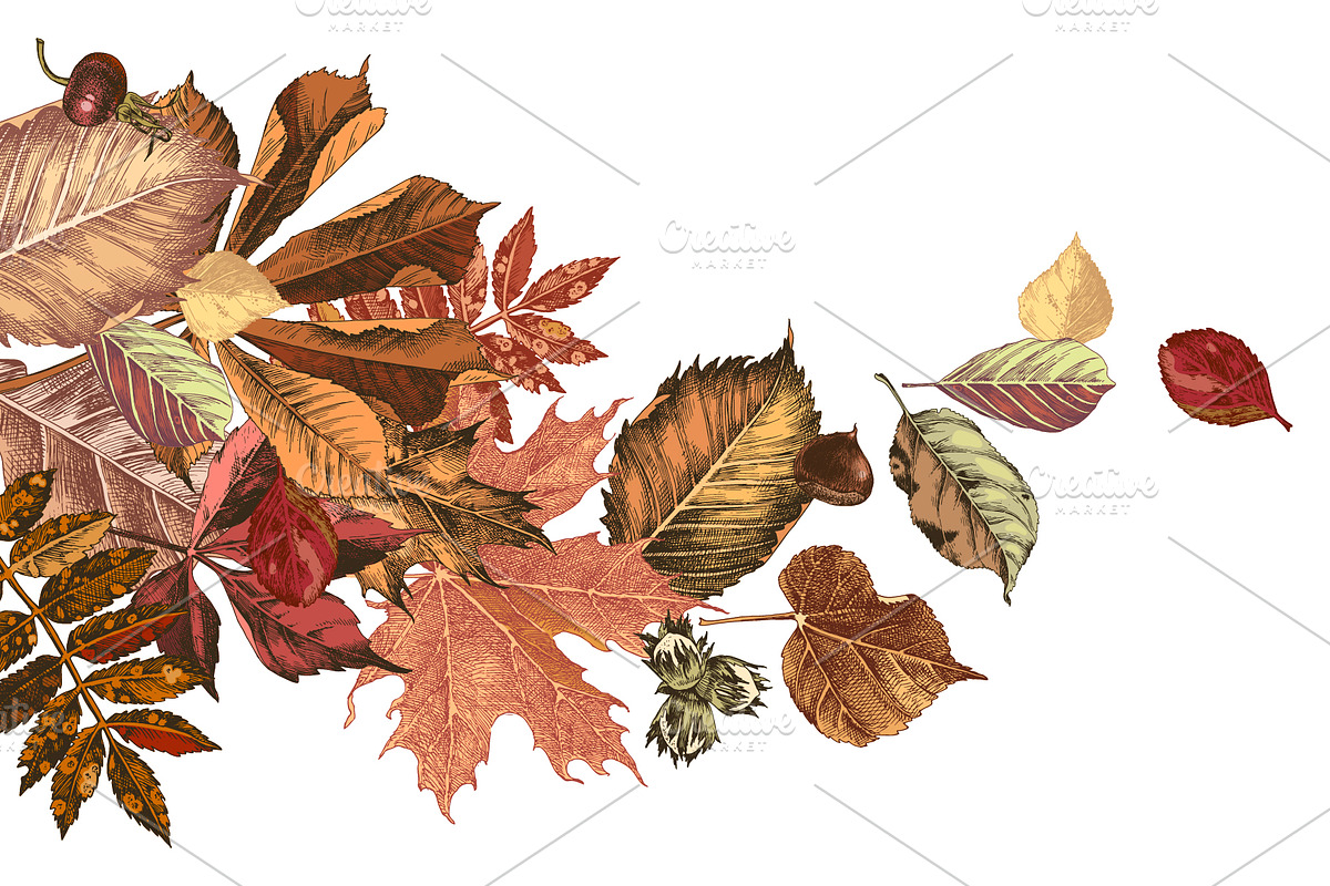 Fall in love - seasonal collection, an Object Illustration by handsketched (Photo 5 of 10)