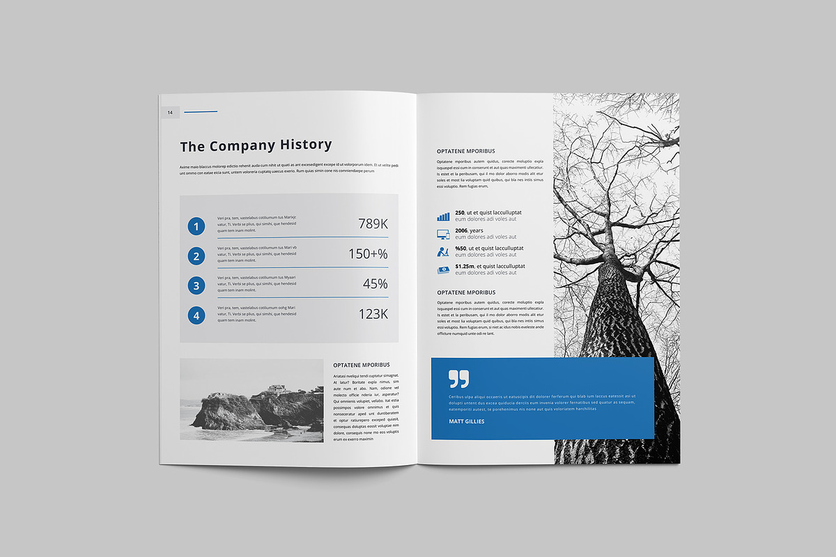 Corporate Brochure, a Brochure Template by Tanber Hossen (Photo 9 of 14)