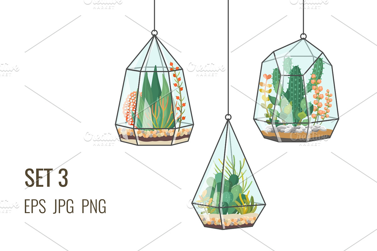 Plants and cacti in terrariums, a Decorative Illustration by Primula`s shop (Photo 3 of 4)