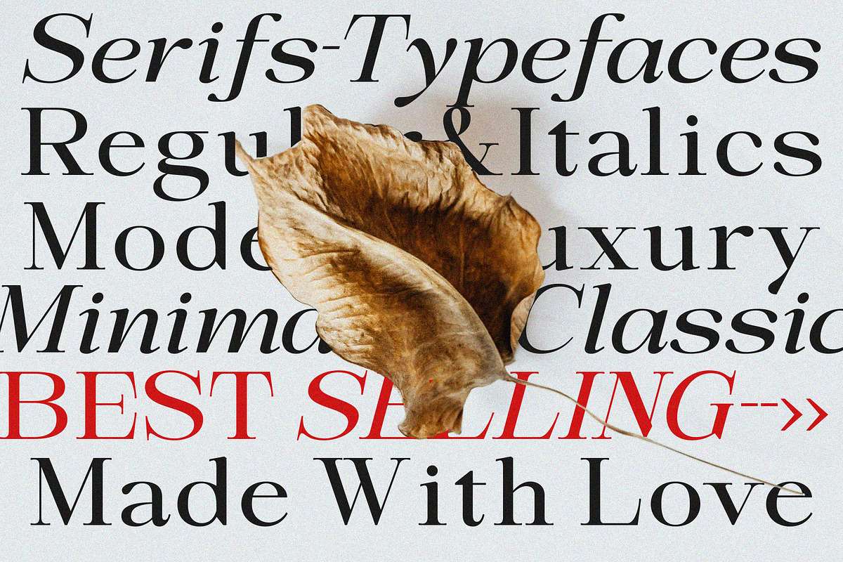 Sandyland Serif, a Serif Font by Violet Natural (Photo 9 of 11)