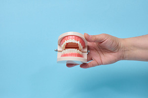 A person holding an anatomical jaw model with teeth against a bl, a Health & Medical Photo by ndanko