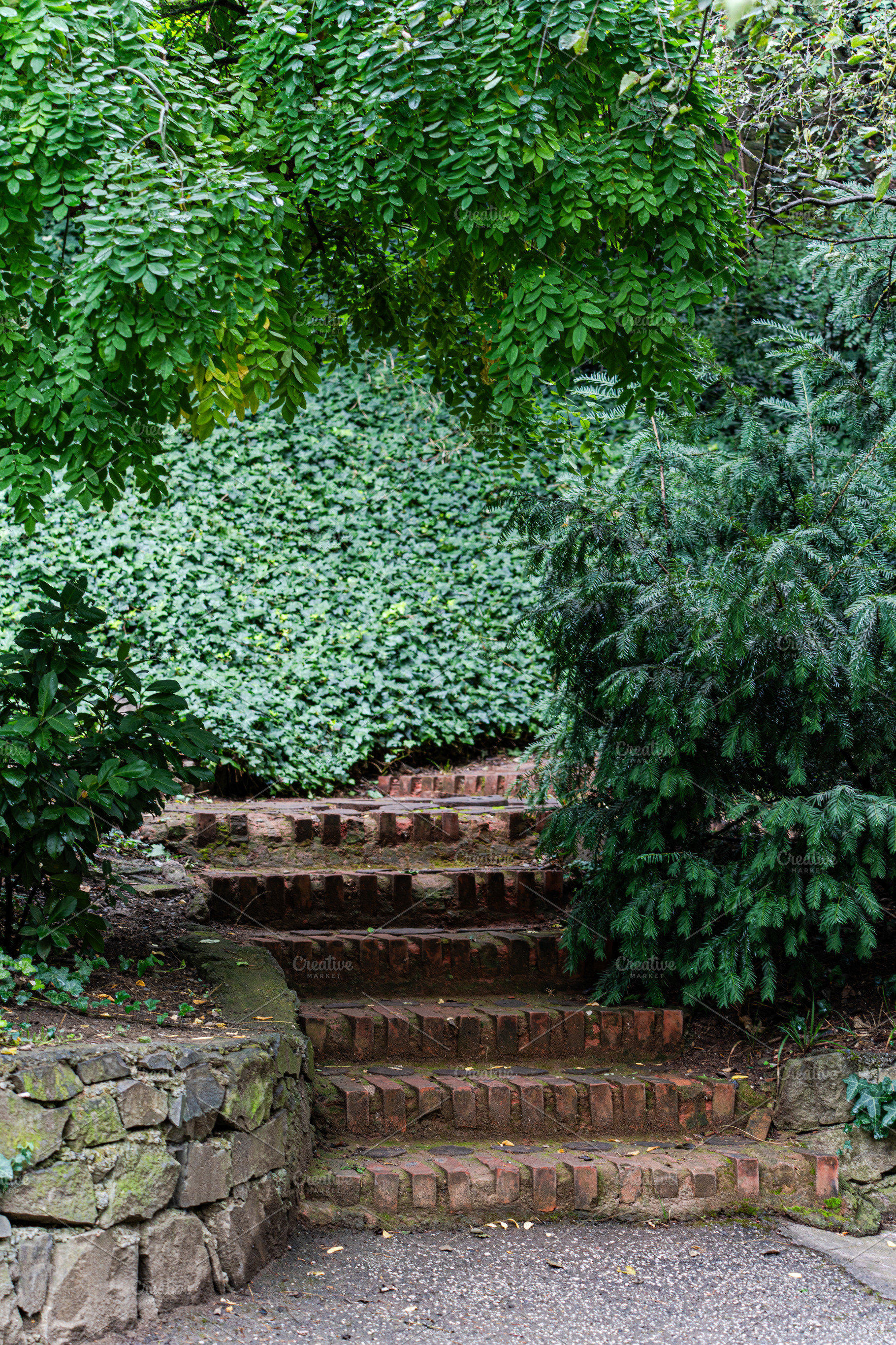 Autumnal garden with seasonal plants and flowers, a Nature Photo by Anna Bogush