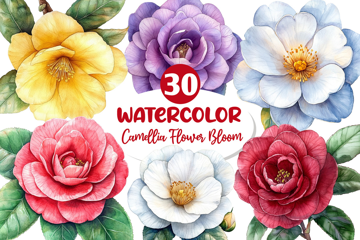 Camellia Flower Bloom Clipart, an Illustration by Dream Creation (Photo 1 of 6)