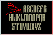 Dragonfly, a Font by Art And Sign Unlimited (Thumbnail 3 of 4)
