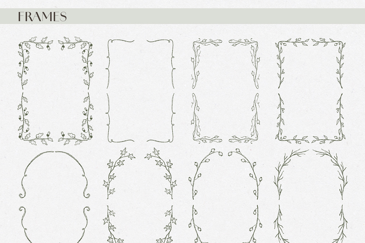 Autumn botanical hand-drawn graphics, a Decorative Illustration by CapriceMeDesigns (Photo 5 of 11)