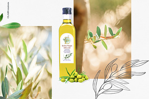 Organic Green Olive Watercolors