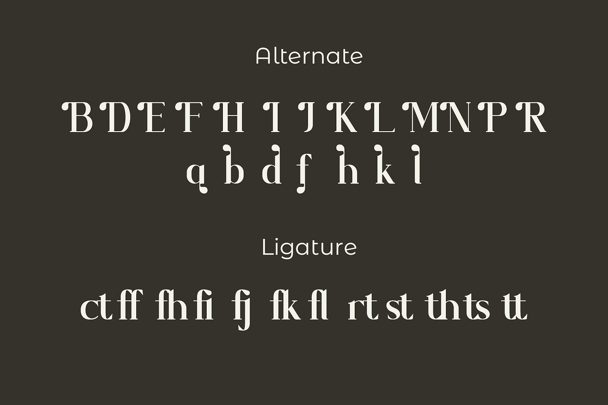 Bloofiqt, a Serif Font by Rishsketch (Photo 12 of 13)