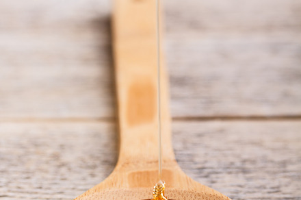 Propolis featuring antibiotic, antimicrobial, and apiary preview 6