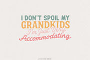 I Don’t Spoil My Grandkids PNG, an Illustration by SharpMarketplace (Thumbnail 1 of 9)