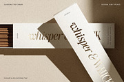 The Silver Editorial - 18 Fonts Pack, a Serif Font by SilverStag Type Foundry (Thumbnail 19 of 30)