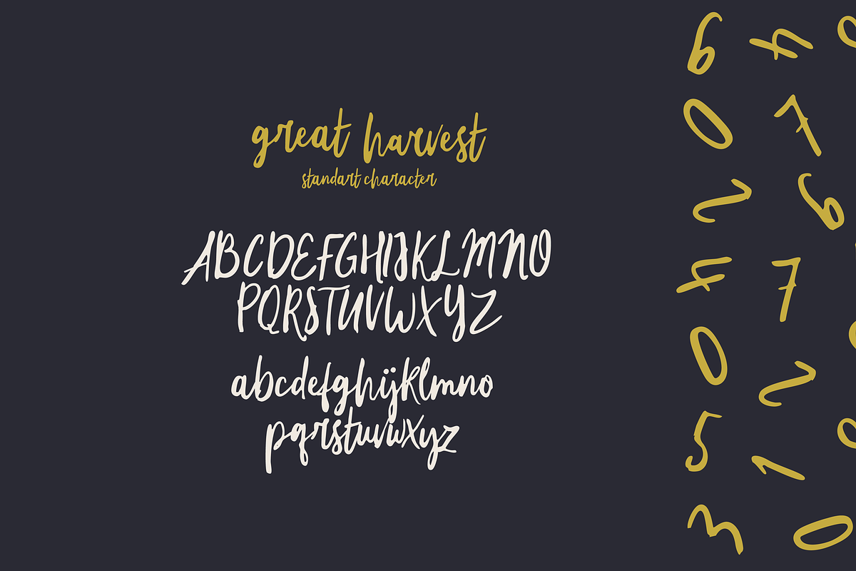 Great Harvest - Rustic Brush Script, a Script Font by Letteratom (Photo 6 of 8)