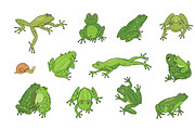16 Frogs, an Animal Illustration by GooseFrol (Thumbnail 2 of 11)