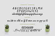 Thessallone - A Handwritten Script, a Handwritten Font by Wacaksara Co. (Thumbnail 7 of 8)