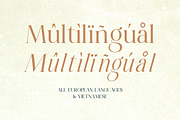The Romance of The Past Serif Family, a Font by BOOSH Studio (Thumbnail 23 of 23)