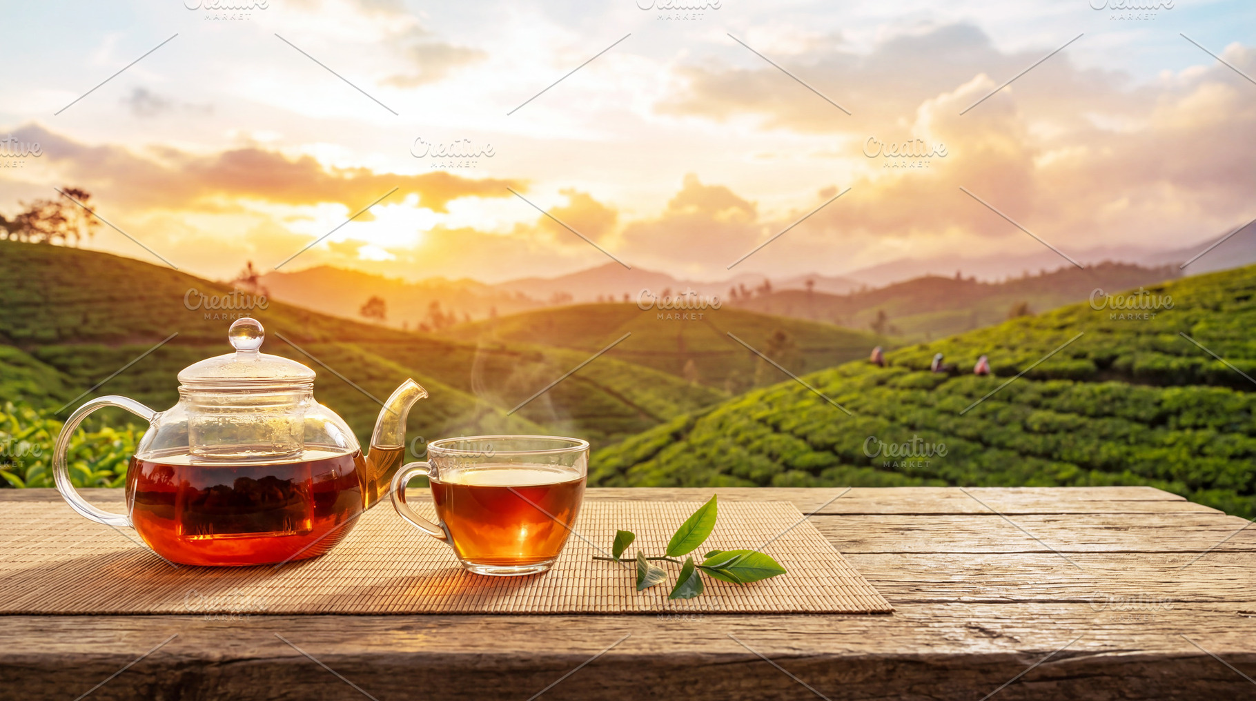 Teapot and teacup on a plantation, a Food & Drink Photo by Volff