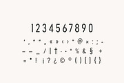 Kensington Palace Elegant Serif Font, a Serif Font by UICreative (Thumbnail 5 of 13)