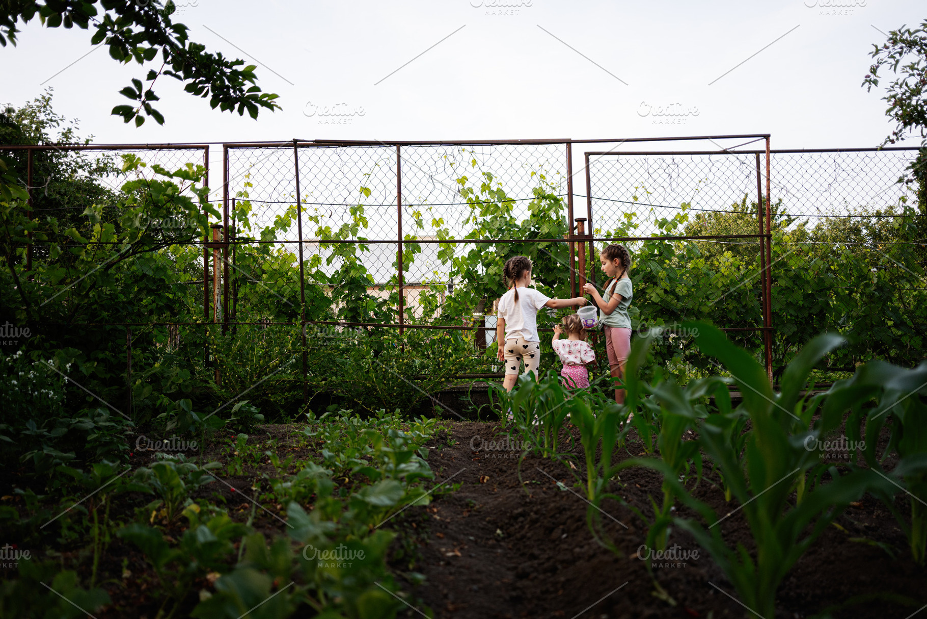 Children playing in a lush garden during a warm summer evening, a Person Photo by AS photostudio