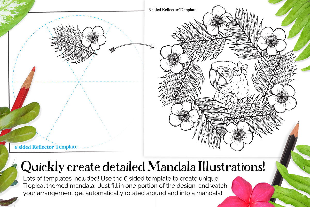 Tropical Paradise Mandala Creator, a Plug-in Add-On by Drifter Studio (Photo 7 of 8)