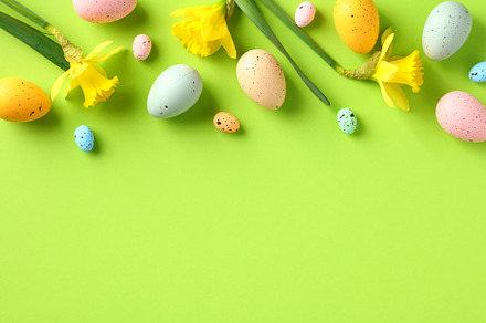 Happy Easter frame top border made of colorful Easter eggs and yellow spring fl, a Holiday Photo by photoguns
