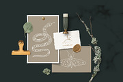 Tootem Bundle, an Animal Illustration by Annie Konst (Thumbnail 12 of 20)