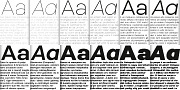 Nemorosa, a Sans Serif Font by Octotypo (Thumbnail 6 of 7)