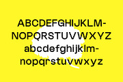 New Melo Typeface, a Sans Serif Font by Foxtype (Thumbnail 5 of 10)