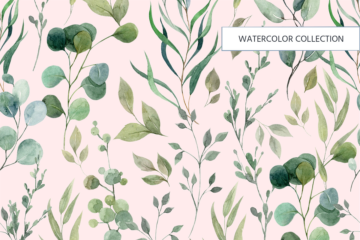 Herbal watercolor collection, a Pattern Graphic by HannaStudio (Photo 3 of 8)