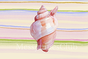 Watercolor Summer Backgrounds+Object, an Illustration by Creative Lovers (Thumbnail 6 of 6)