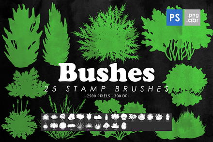 Bushes Grass Photoshop Stamp Brushes