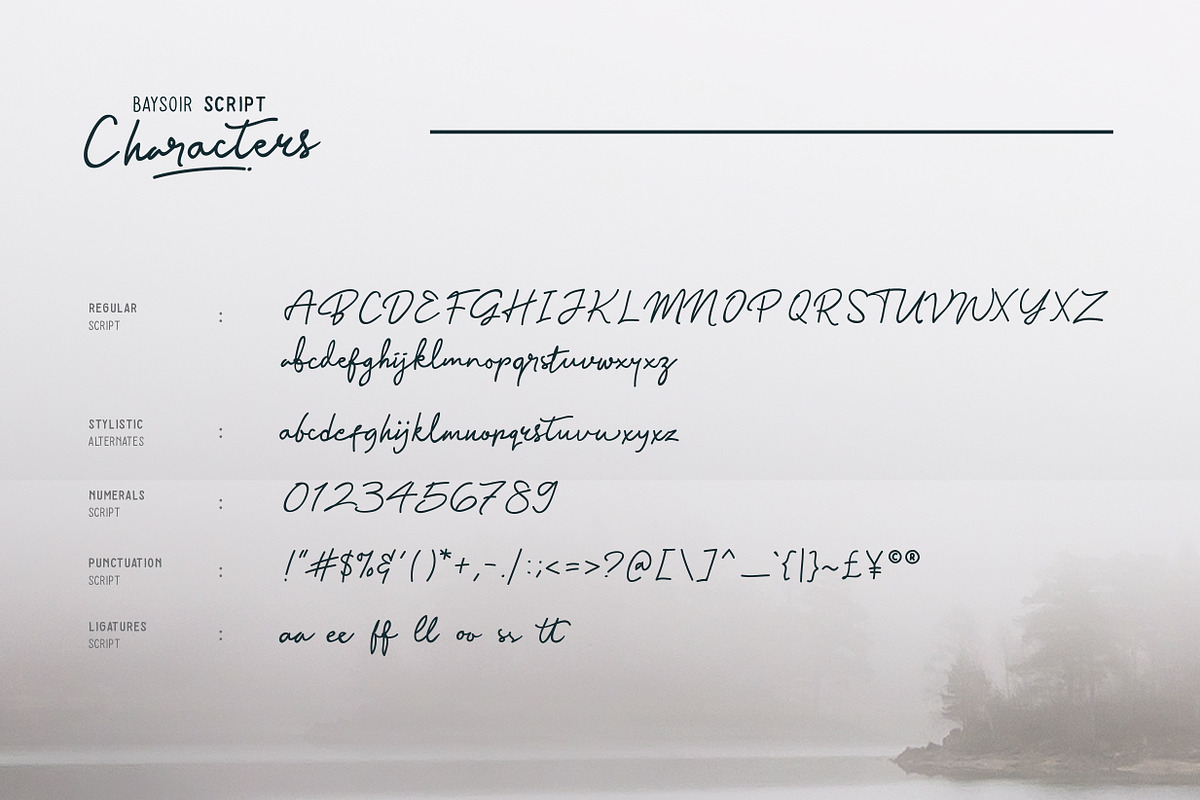 Baysoir - handwritten signature font preview 8