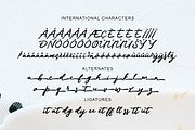 Funta, a Script Font by Gatype (Thumbnail 5 of 8)