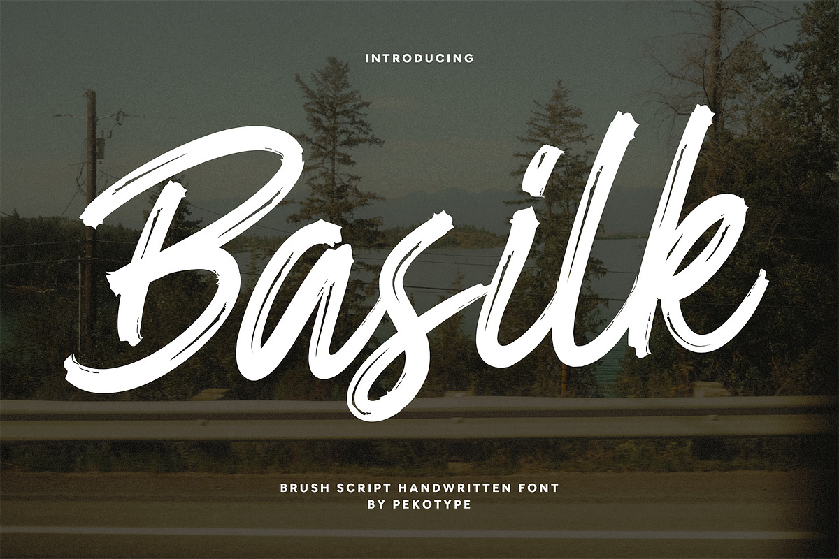 Basilk - Brush Handwritten Font, a Handwritten Font by Pekotype (Photo 1 of 14)