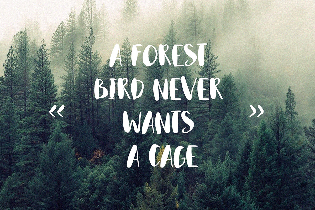 Hello Vibes - The Handbrushed Font, a Font by Graphicfresh (Photo 2 of 7)