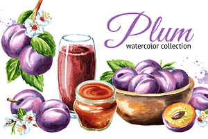 Plum. Watercolor Collection