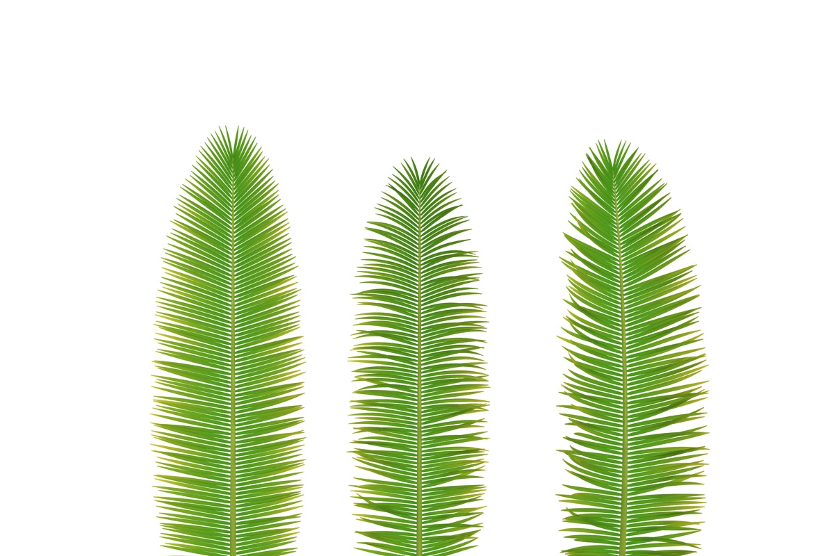 Palm branch, an Environmental 3D Model by AndrewWhite (Photo 8 of 10)