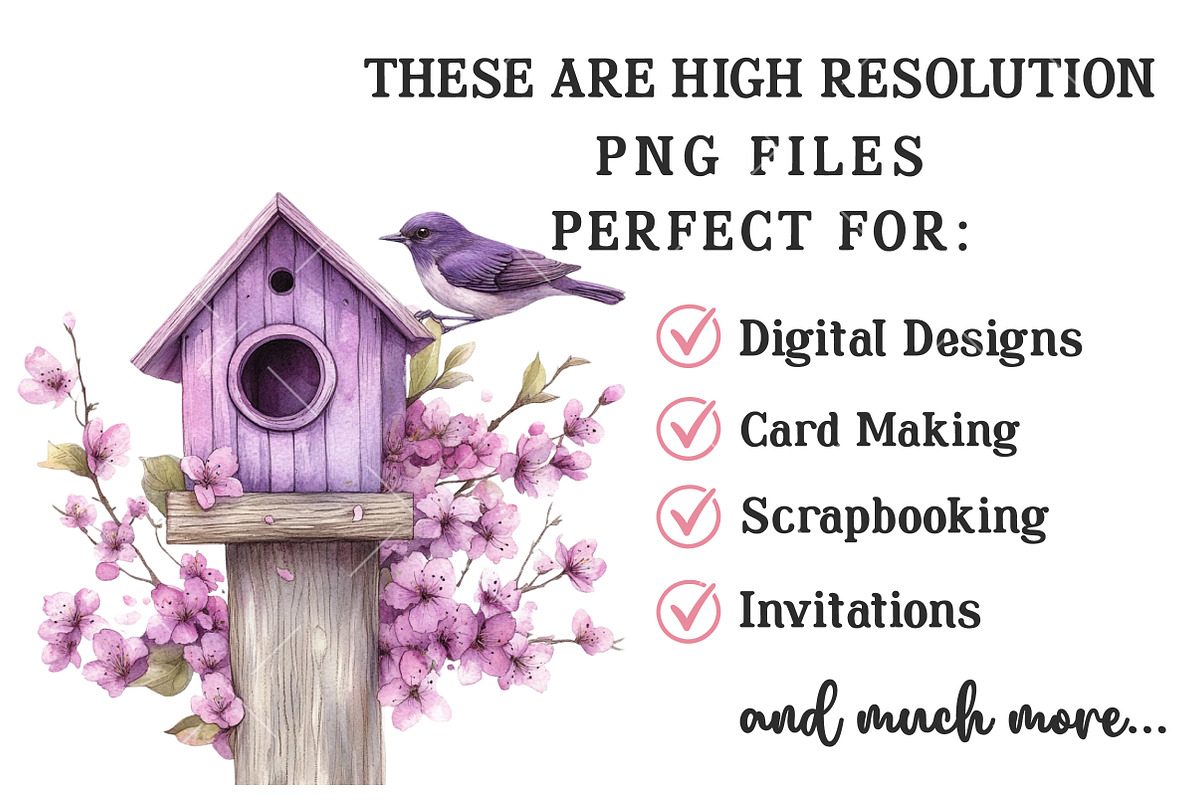 Spring Bird House Clipart, an Illustration by OK Design (Photo 4 of 6)