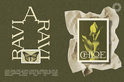 Halmera Thornwood- Serif Font Family, a Serif Font by Setara Langit CreativeStd (Thumbnail 5 of 12)