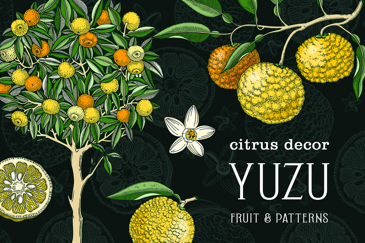 Yuzu - Citrus Fruit and Patterns, a Food Illustration by Yevheniia (Photo 1 of 12)