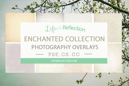 Enchanted Overlay Collection Bundle