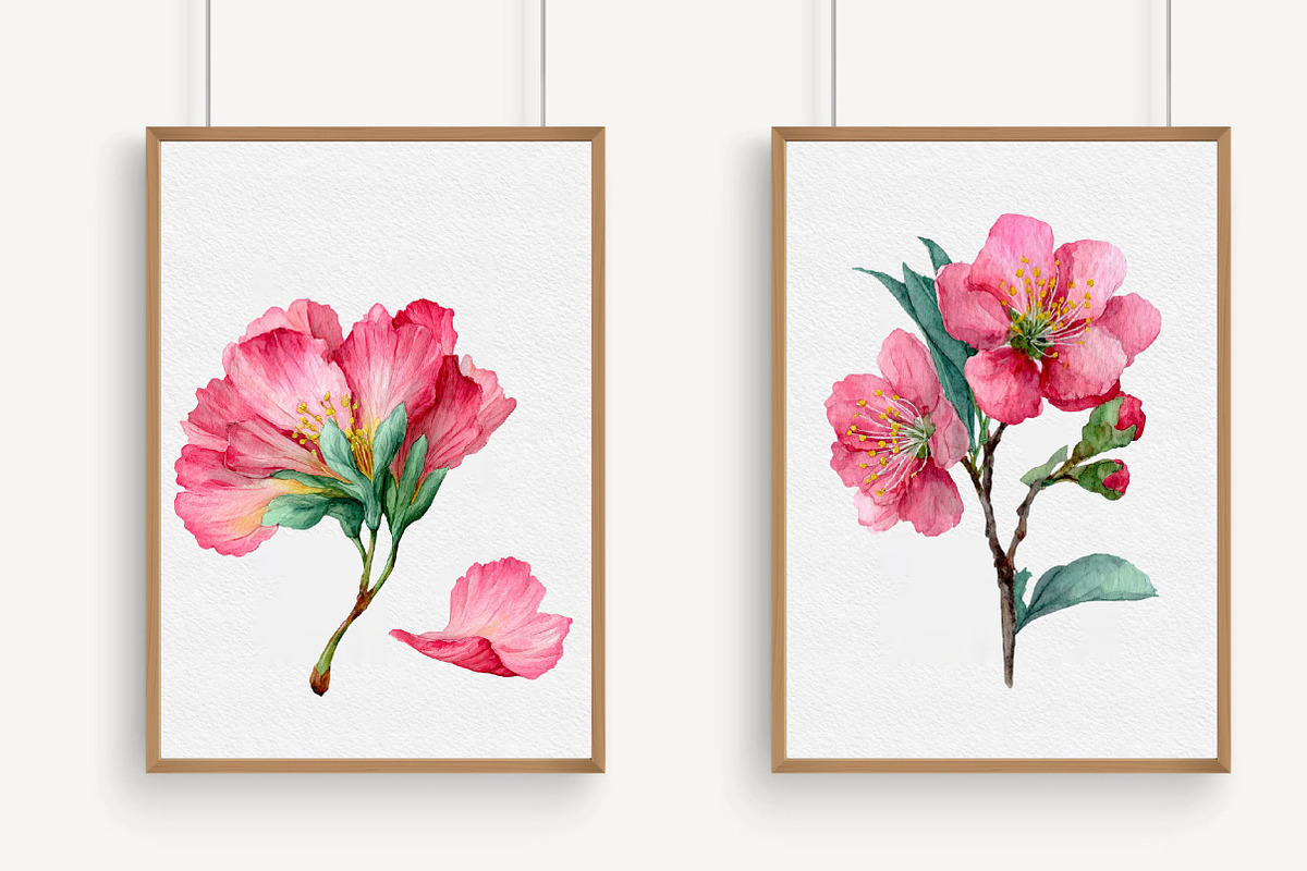 Cherry Blossom Watercolor Clip Art, an Illustration by Libby Wishes (Photo 3 of 7)