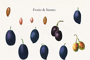Vintage Olive Graphic Collection, a Decorative Illustration by Olga Begak Art & Design (Thumbnail 4 of 11)